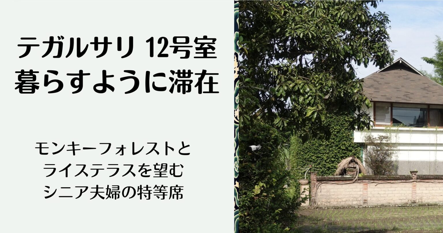 テガルサリ ルーム12に泊まってみた|1か月滞在で感じた使い勝手と過ごしやすさ - バリ島ウブド|シニア夫婦の長期滞在ガイド