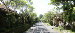 ニュークニンの街路樹と家々が並ぶ静かな住宅街
